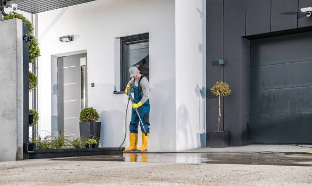 Best Graffiti Removal  in Rohnert Park, CA